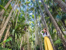 Tickets to Southeast Botanical Gardens
